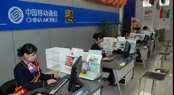 500強名企誠聘英才 | 完善五險一金 | 互聯(lián)網(wǎng)信息服務行業(yè)優(yōu)質機會