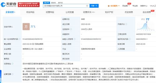 榮耀跨界布局游戲與信息服務(wù)，2000萬成立軟件子公司引發(fā)行業(yè)關(guān)注